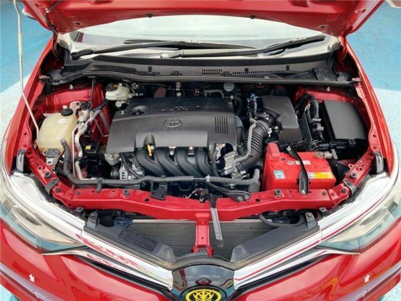 AURIS-46