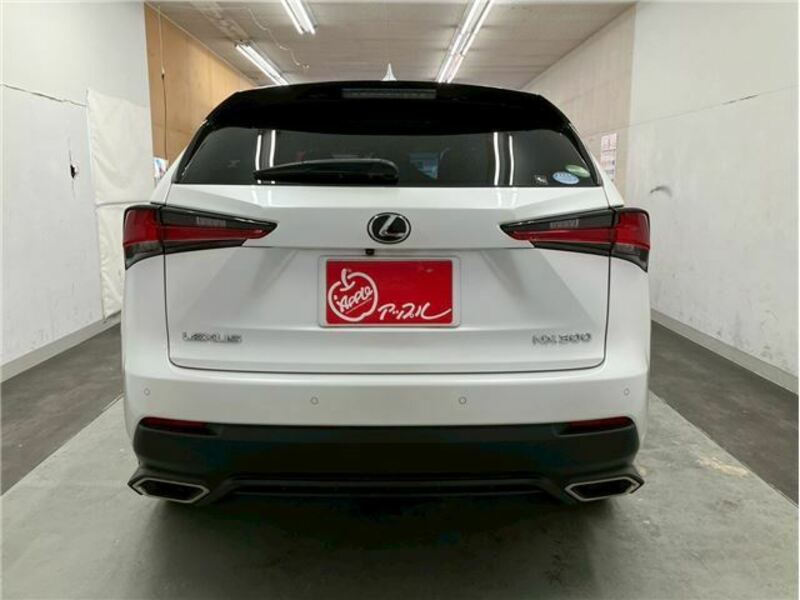 NX