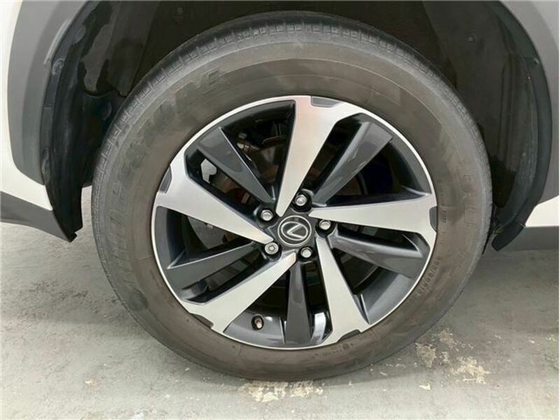 NX