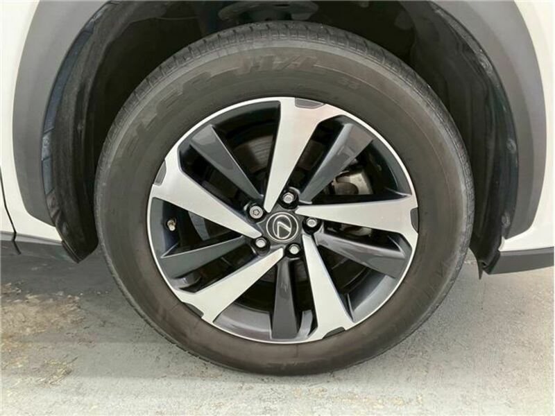 NX