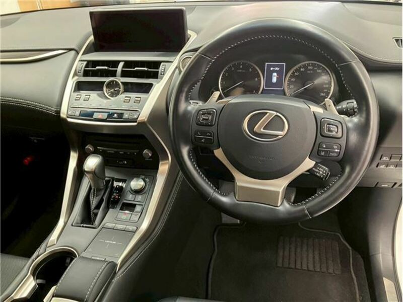 NX