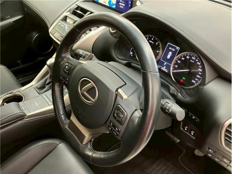 NX