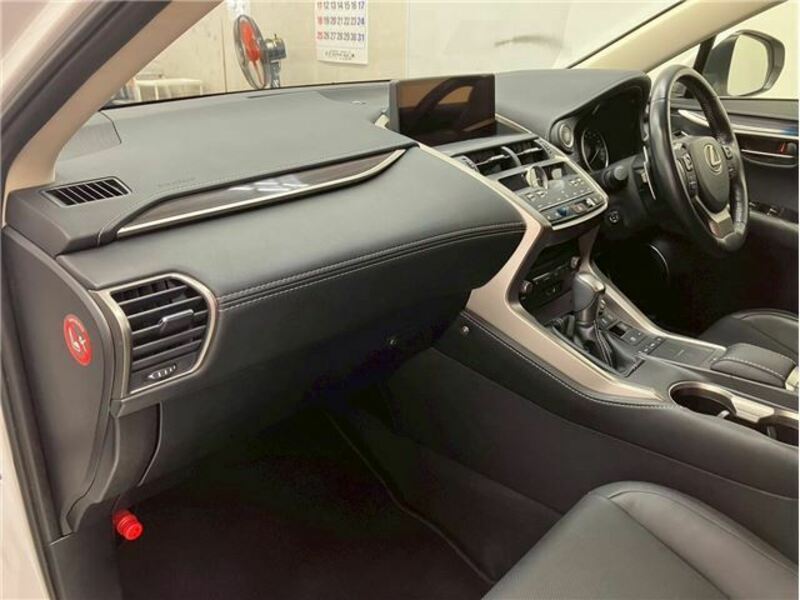NX