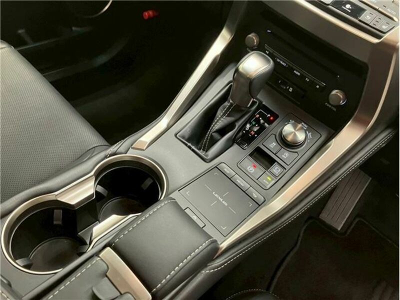 NX