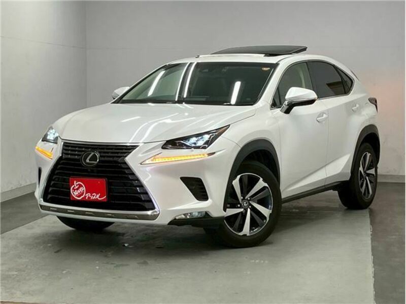 NX