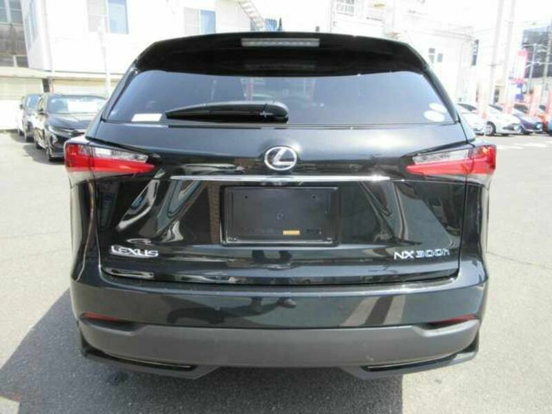 NX