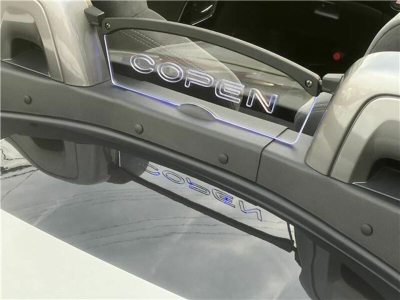 COPEN-18