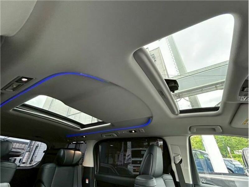 ALPHARD-3