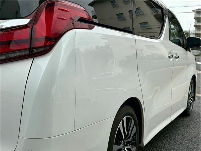 ALPHARD-13