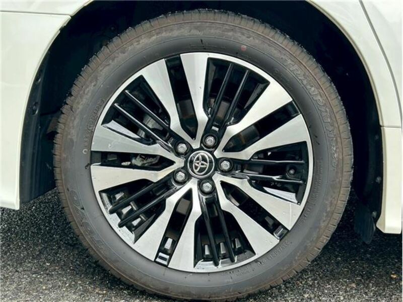 ALPHARD-41
