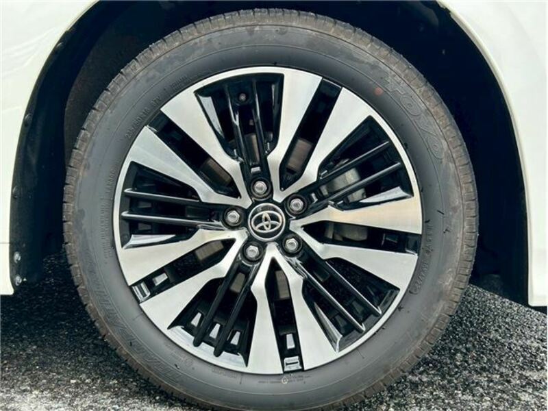 ALPHARD-42