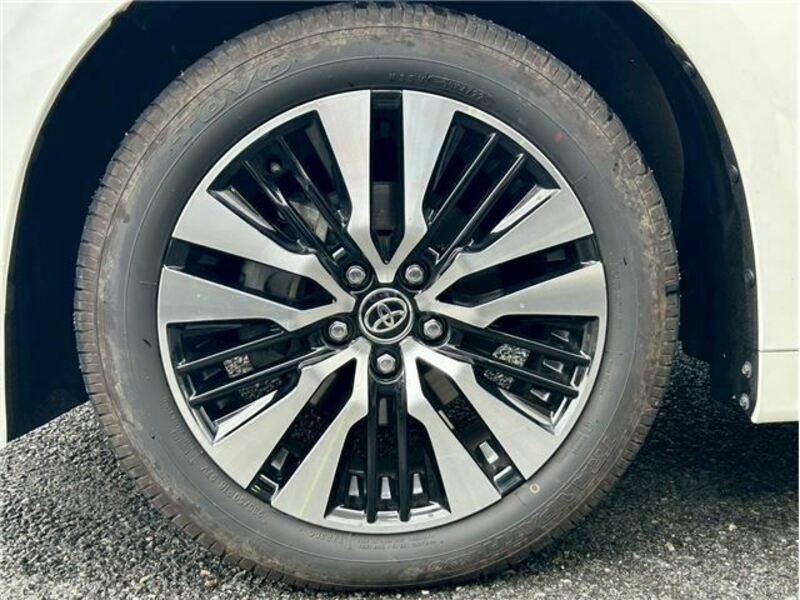 ALPHARD-43