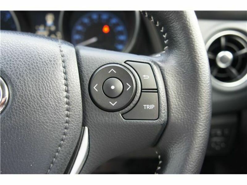 AURIS-20