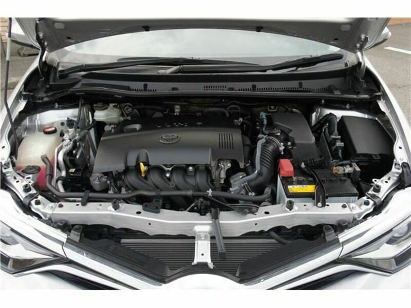 AURIS-31