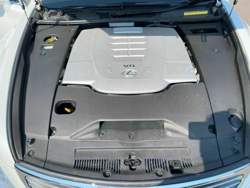 LS