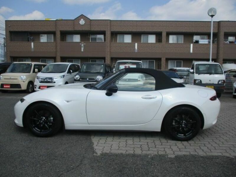 ROADSTER