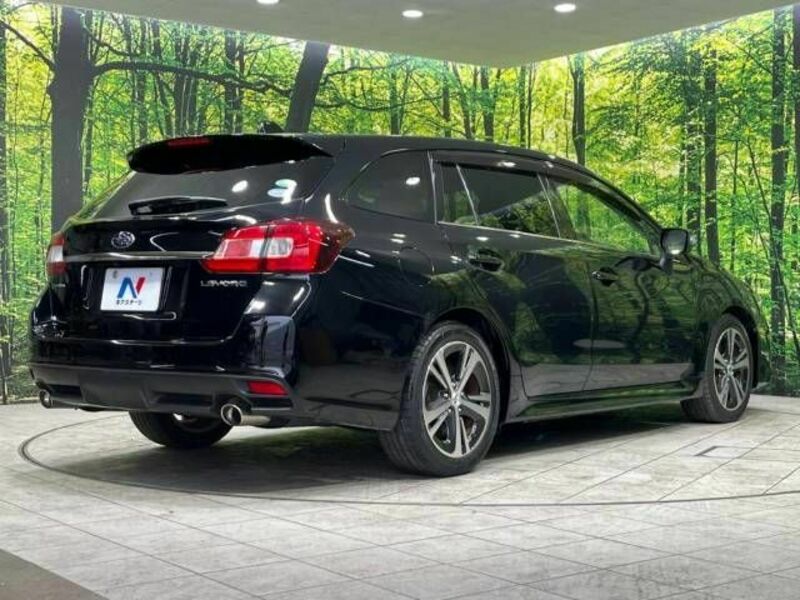 LEVORG