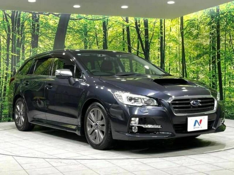 LEVORG