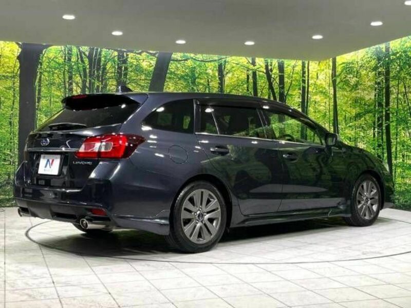 LEVORG
