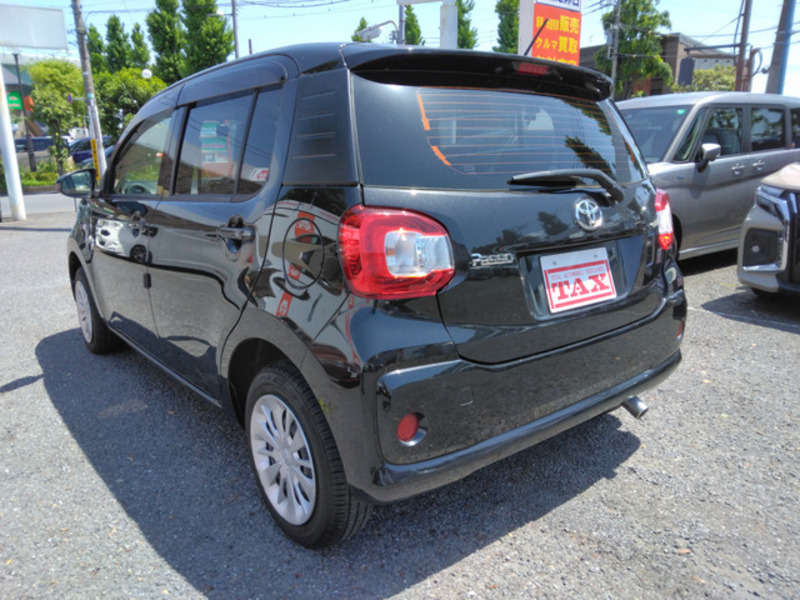 PASSO-19