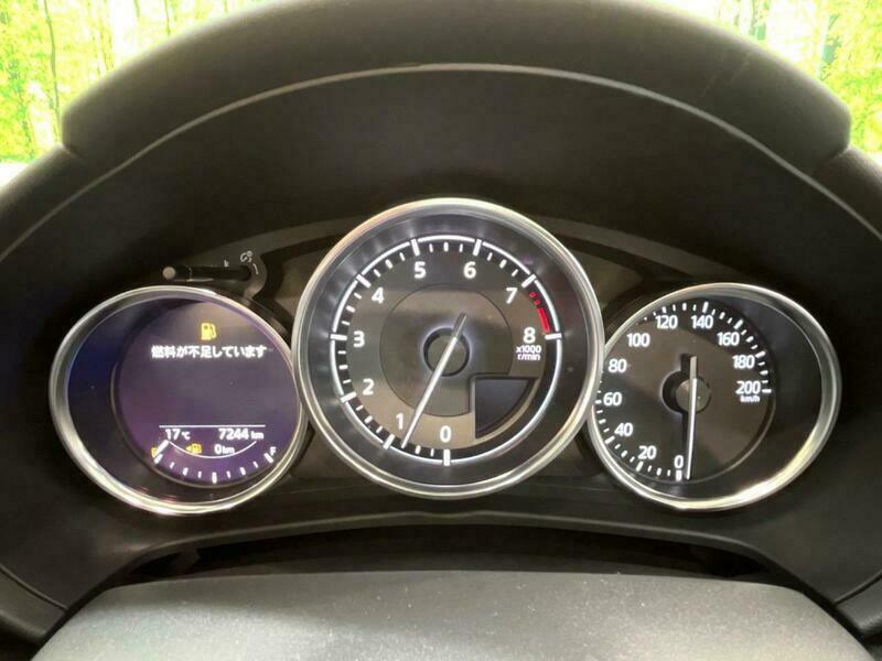 ROADSTER RF
