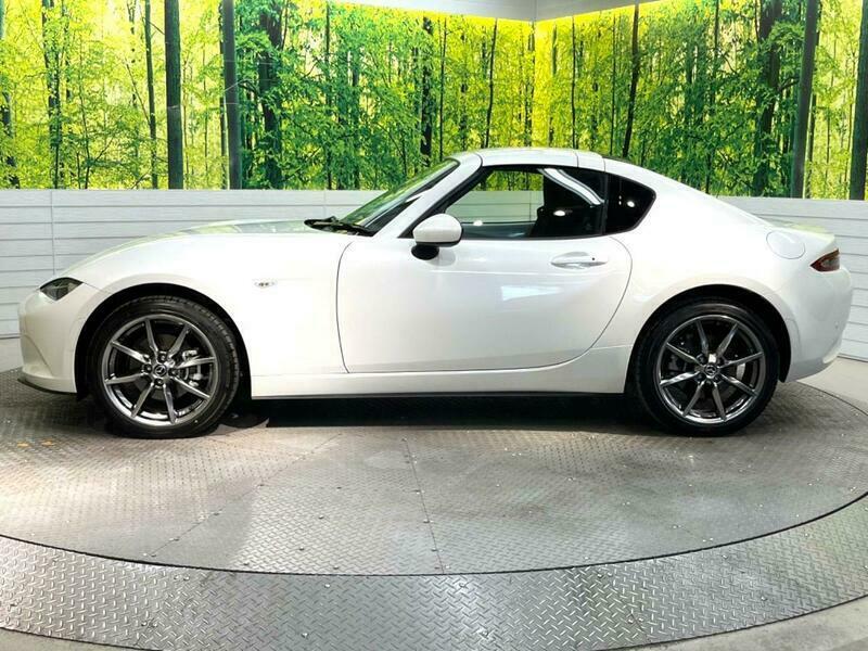 ROADSTER RF
