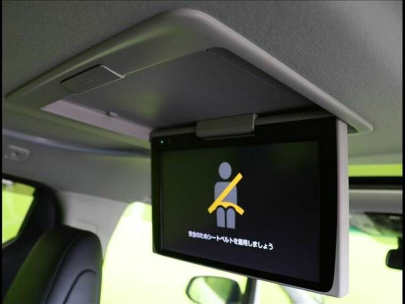 ALPHARD-6