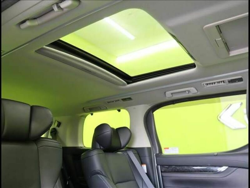 ALPHARD-8
