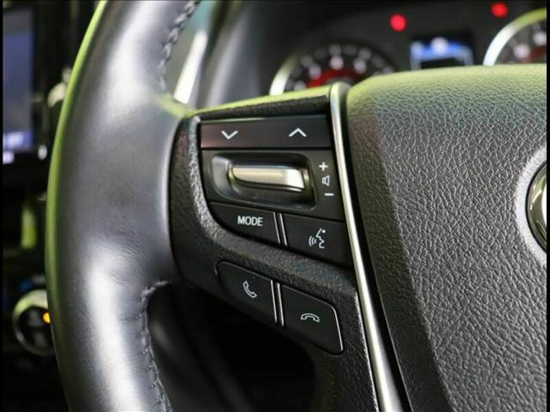 ALPHARD-10