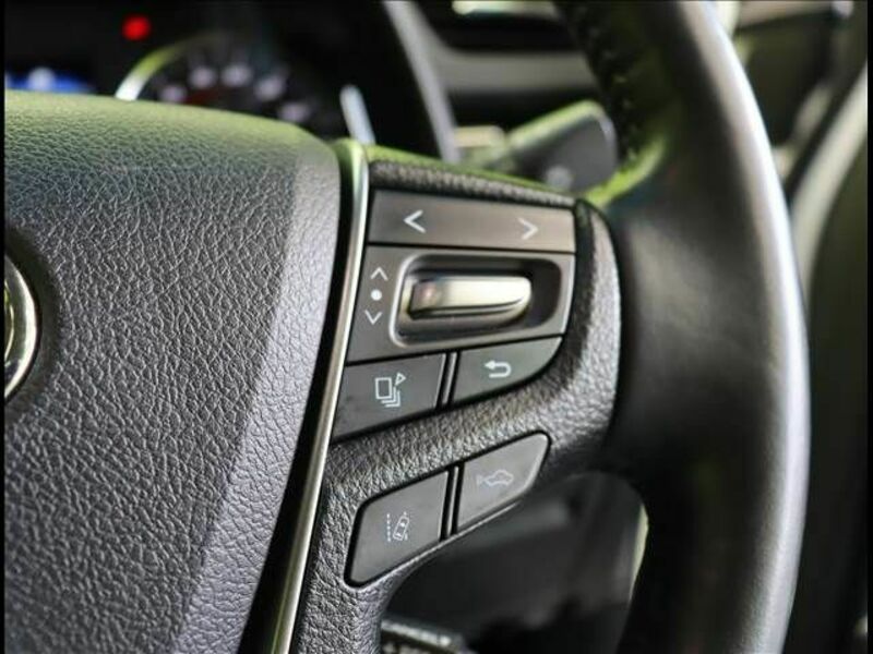 ALPHARD-11
