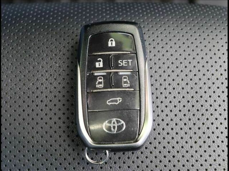 ALPHARD-19