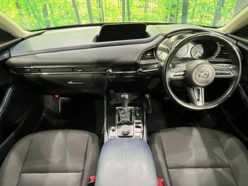 CX-30