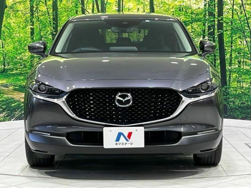 CX-30