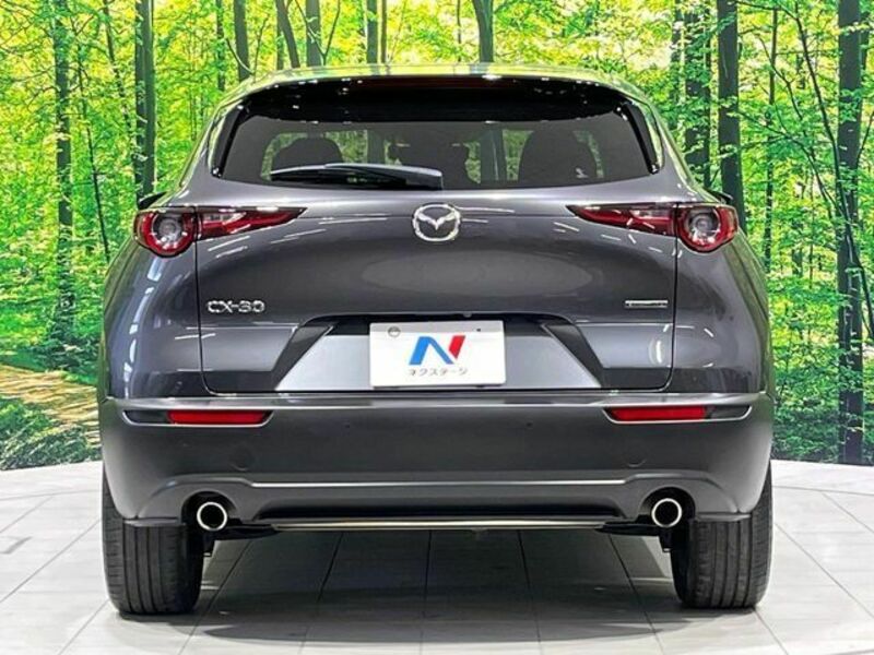 CX-30