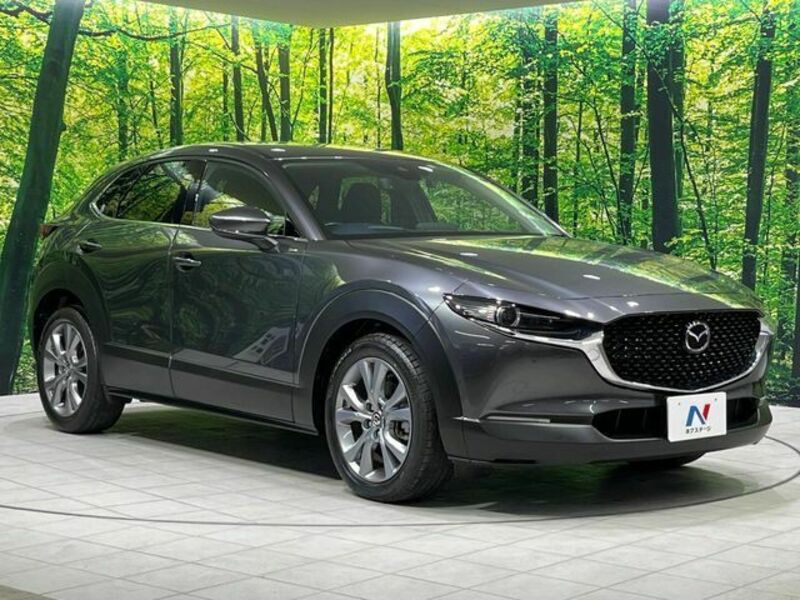 CX-30