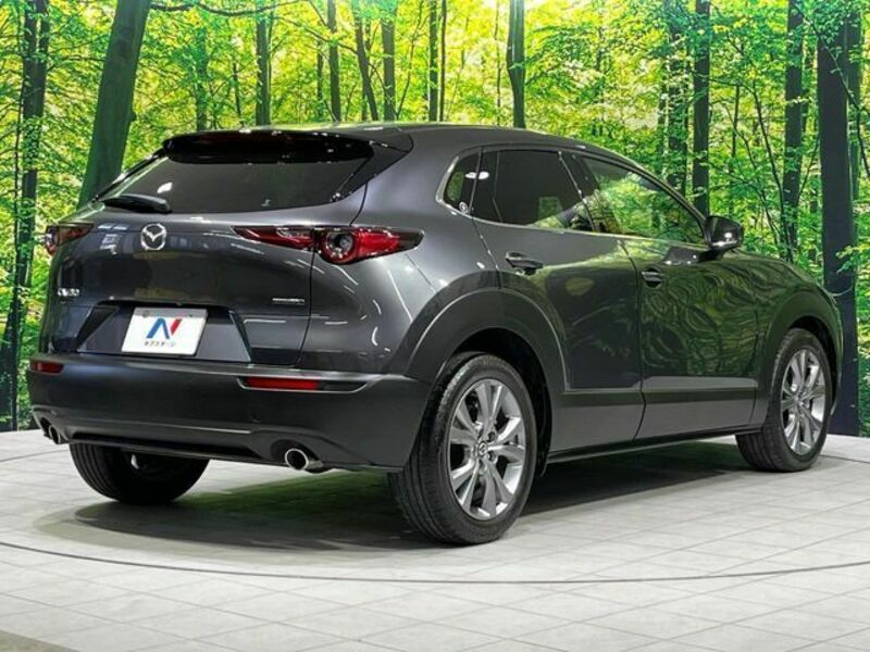 CX-30