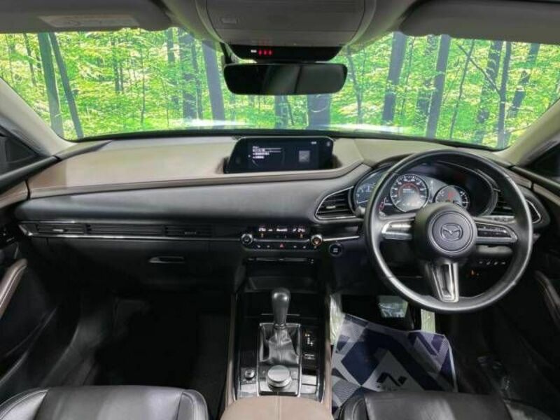 CX-30