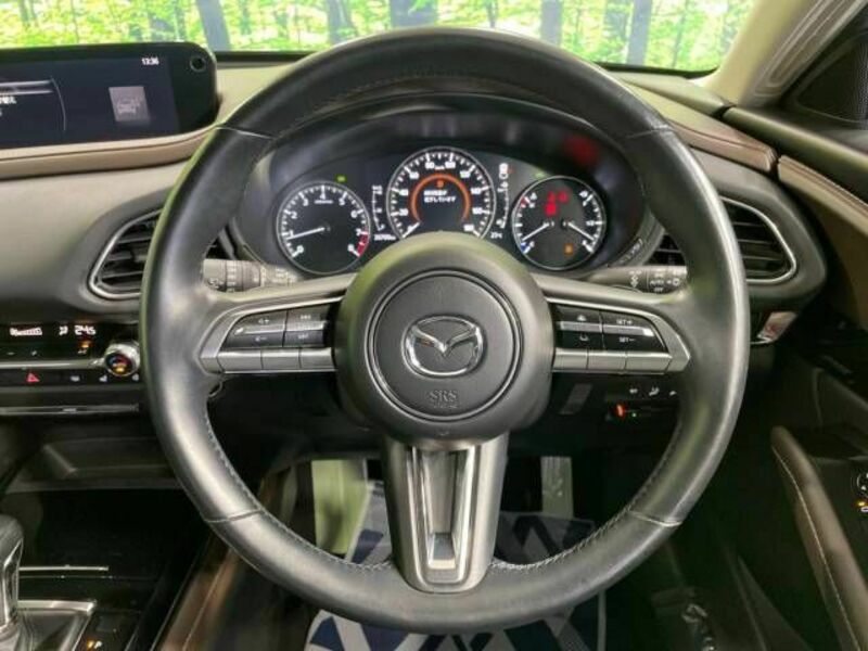 CX-30