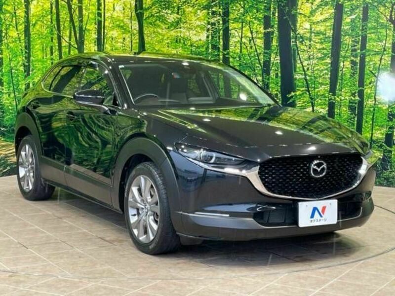 CX-30