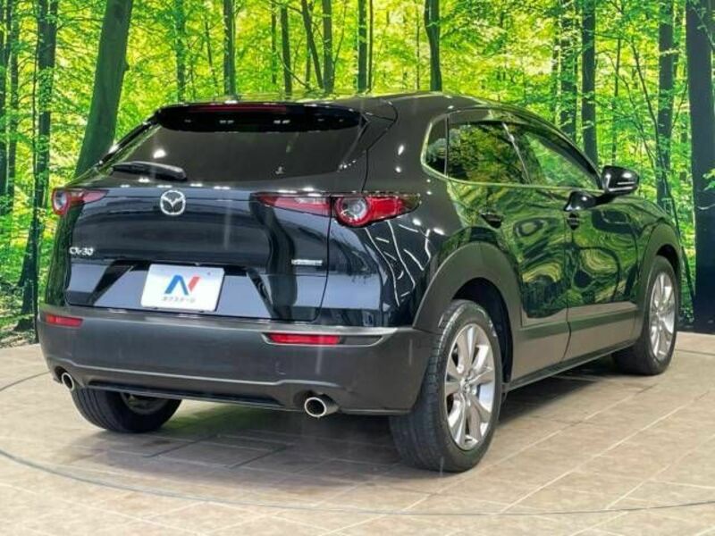 CX-30