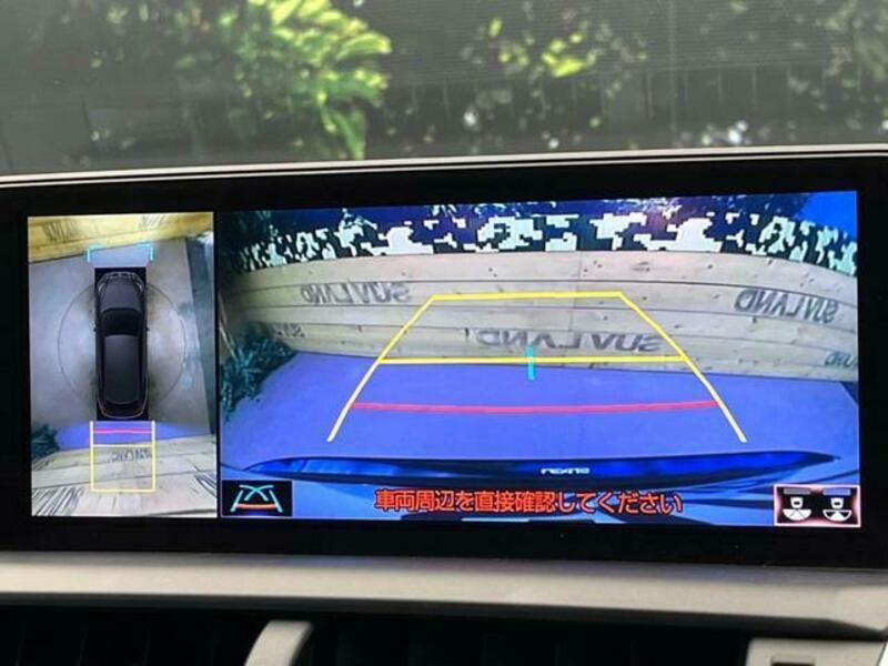 NX