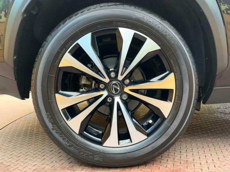 NX