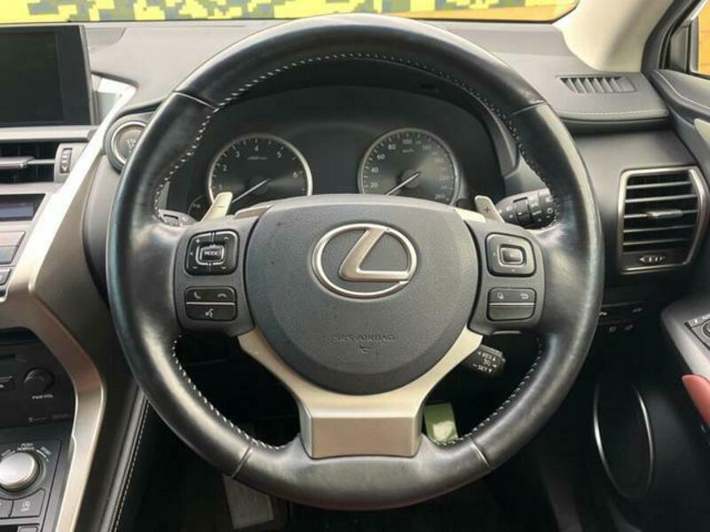 NX