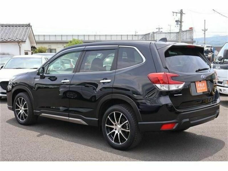 FORESTER