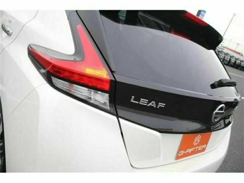 LEAF-12