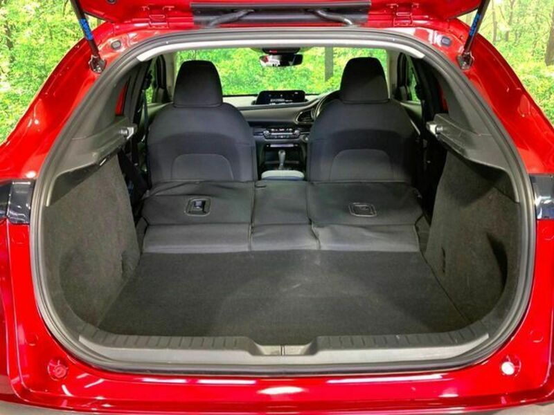 CX-30