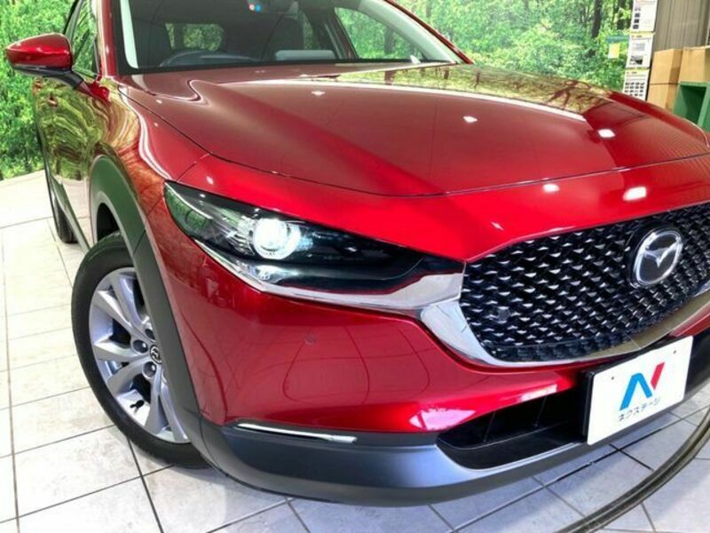 CX-30