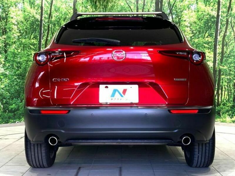 CX-30