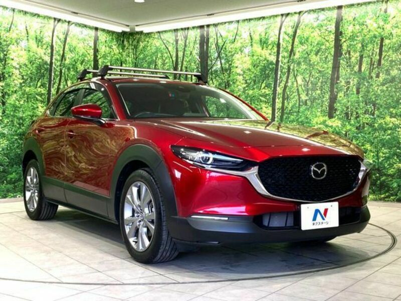 CX-30