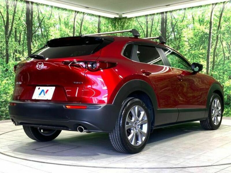 CX-30